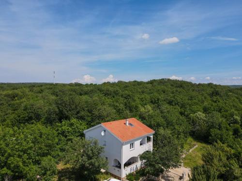 Skrbcici Apartment | Apartment & Room Danijel