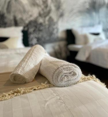 Mannheim Apartment | Apartment Salvo