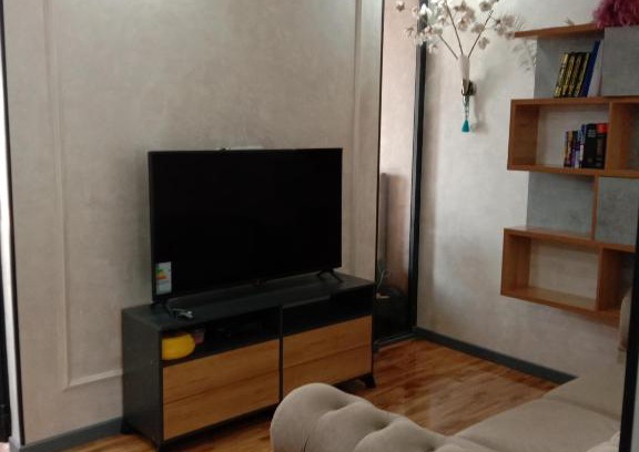 Tashkent Apartment | apartment seven A