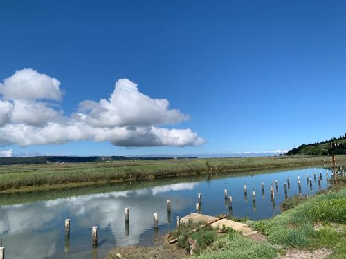 Seca Apartment | apartment Taperini