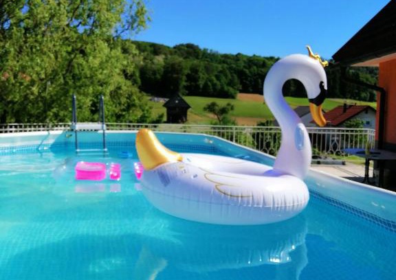 Cerklje ob Krki Apartment | Apartment Tina with Seasonal Pool