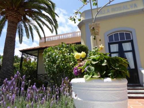 Puerto de la Cruz Apartment | Apartment Typ B