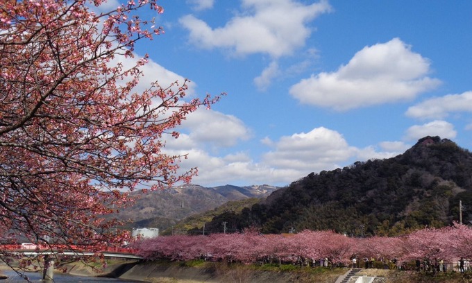 Yatsu Apartment | Apartment type room 202 where you can spend a rela/Kamo-gun Shizuoka