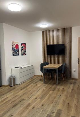 Olomouc Apartment | Apartment Urban Oasis