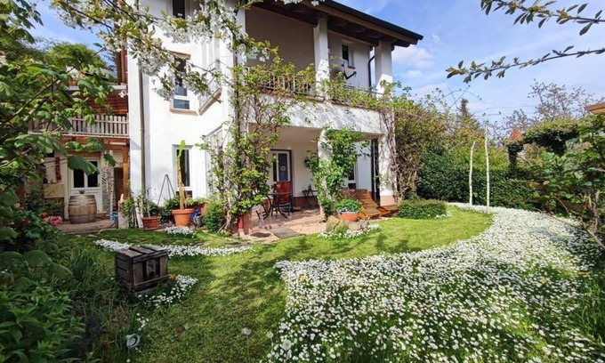 Leinsweiler Apartment | Apartment "Village View"