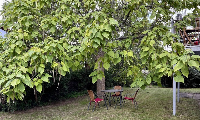 Kirkel Apartment | Apartment 'Vindumi' with Shared Garden, Balcony and Wi-Fi