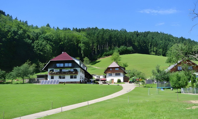 Hausach Apartment | Apartment 'Vordersbergerhof' with Mountain View, Private Terrace and Wi-Fi