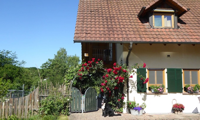 Kleinsteinhausen Apartment | Apartment Waldblick