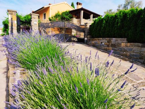Koper Apartment | Apartment Wine & Olive oil Mofardin
