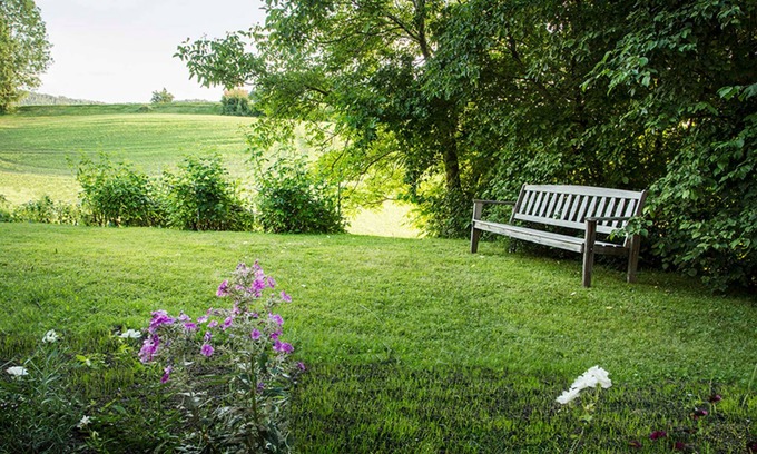 Krumbach Apartment | Apartment with 2 bedrooms - forests vacancy - holiday home for connoisseurs