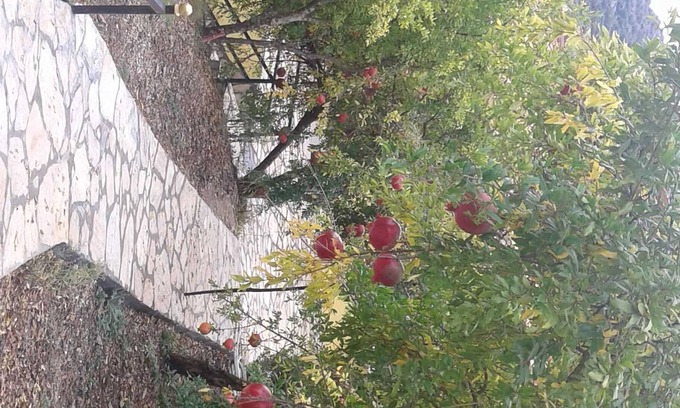 Kumluca Cabin | Apartment with 4 beds: small balcony and large veranda - holiday home Waldwilla-Waldapart