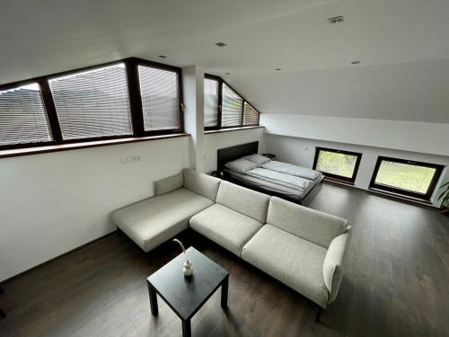 Kraluv Dvur Apartment | Apartment With a View