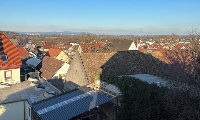 Mainz-Bingen Apartment | Apartment with a view