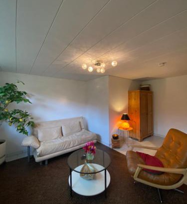 Wiesbaden Apartment | Apartment Yildiztepe