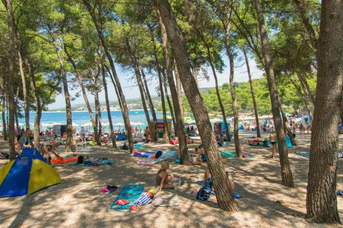 Primosten Apartment | Apartment Zdravka