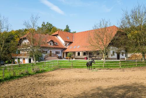 Ivancna Gorica Apartment | APARTMENT ZYNGA - STUD FARM