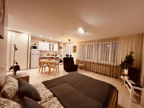 Valmiera Apartment | Apartment128