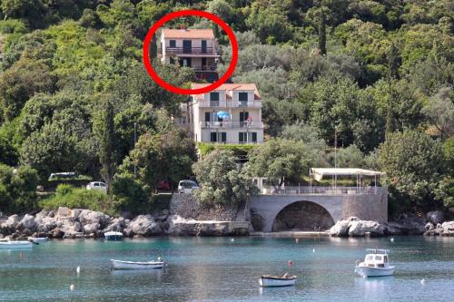 Molunat Apartment | Apartments by the sea Molunat, Dubrovnik - 8550