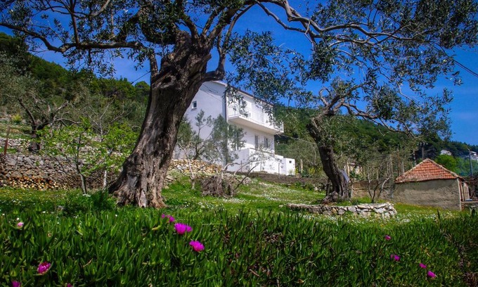 Ropa Apartment | Apartments Frano Ropa