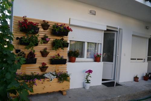 Gevgelija Apartment | Apartments Frau Trena