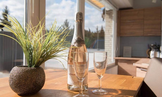 Braunlage Condo | Apartments Harz Panorama