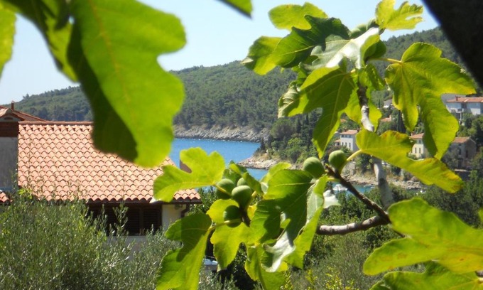 Sveta Marina Apartment | Apartments Ida Sveta Marina