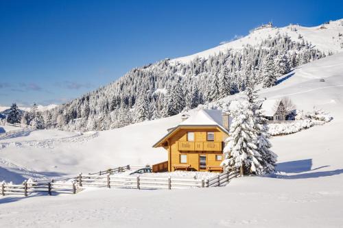 Ambroz pod Krvavcem Ski Chalet | Apartments Krvavec