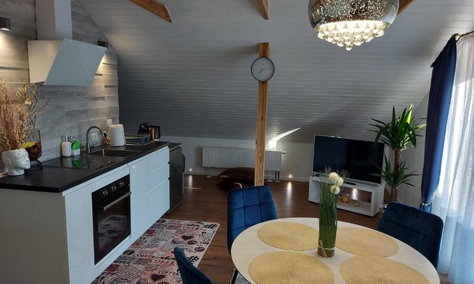 Druskininkai Apartment | Apartments MILENA