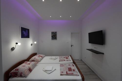 Zrce Apartment | Apartments NOVALJA, Burin Bok 5