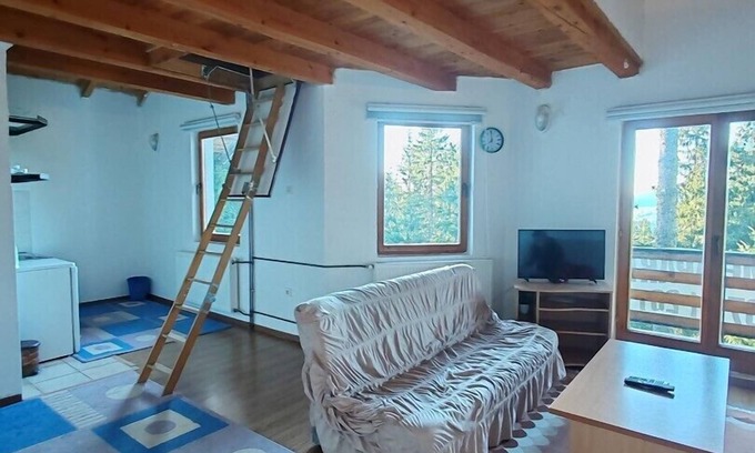 Babanovac Apartment | Apartments Planinski raj/Apartment Planinski raj 6