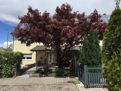 Illertissen Apartment | Apartmentvermietung Ingrid Bolkart - Kirchblick 1