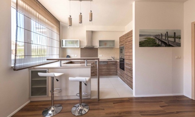 Pilsen Apartment | Apartsee living II.