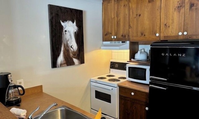 Okanagan-Similkameen Apartment | APEX SKI IN/SKI OUT Crazy Colt
