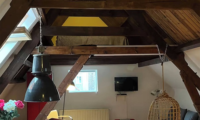 City Apartment | App. Penthouse Loft Cathedral View Free Parking