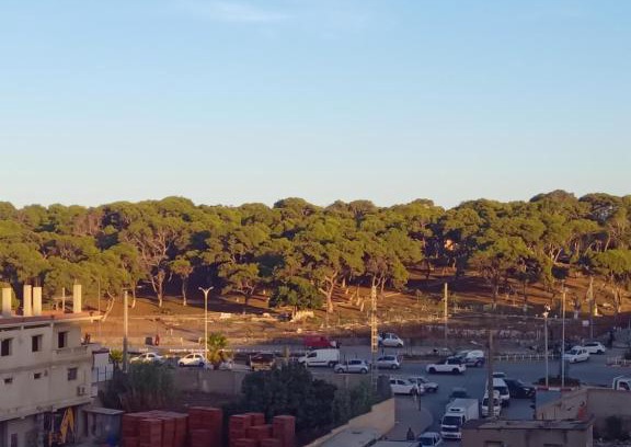 Bordj el Kiffan Apartment | Apparemment proche de la mer