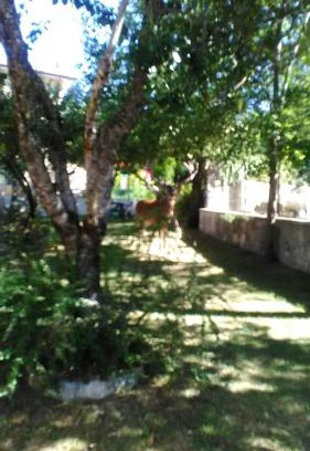 Villetta Barrea House | Appartamenti De Sanctis