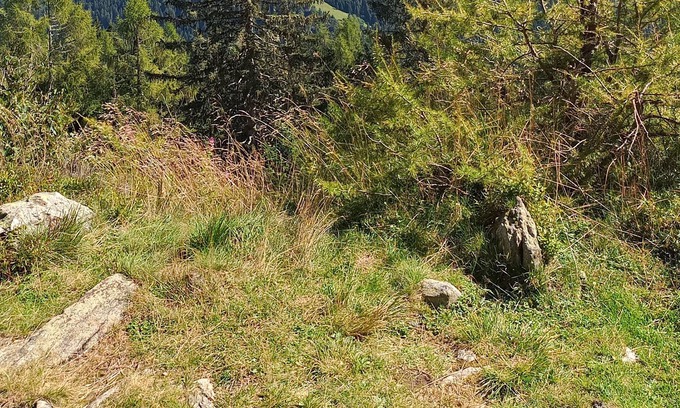 Canal San Bovo Apartment | appartamento immerso nel verde delle dolomiti