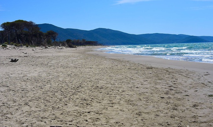 Principina a Mare Apartment | Appartamento Delfino