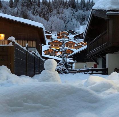 Les Gets Apartment | Appartement 2 pièces Résidence les Fermes Emiguy Les Gets