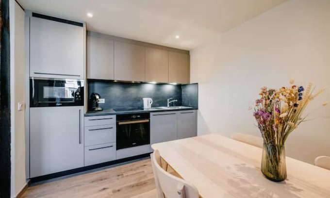 Boofzheim Apartment | Appartement Châtaignier Accès PMR Près Europapark