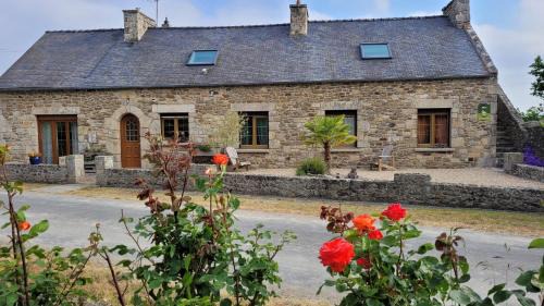 Corseul House | Appartement Le camélia blanc