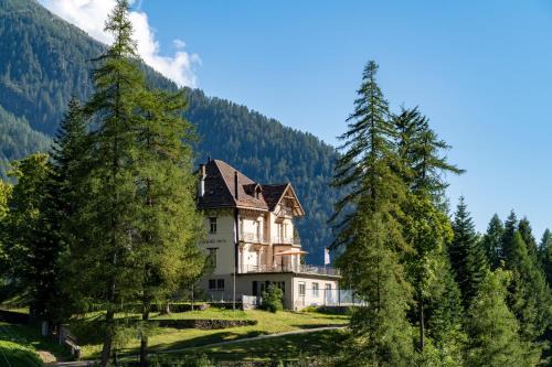 Lavizzara Apartment | Appartement Pineta