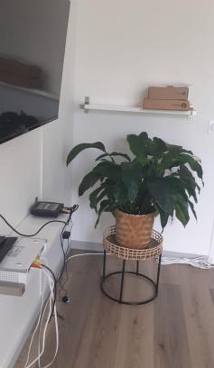 Persan Apartment | appartement proche paris et Roissy