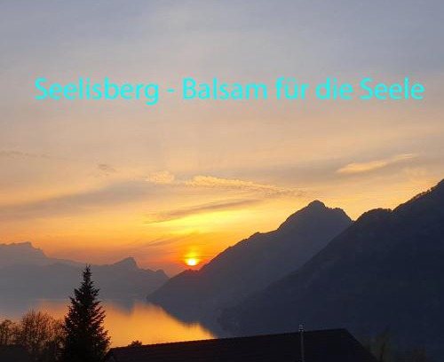 Ruetli Apartment | Appartement Seelewärmerli - Balsam für Ihre Seele