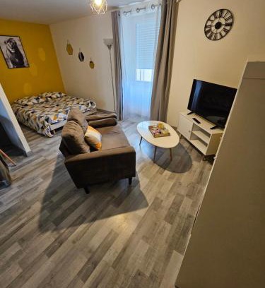 Satolas-et-Bonce Apartment | Appartements entiers proche Aéroport - ZAC Chesnes - CNPE du Bugey Check-In 24h7J