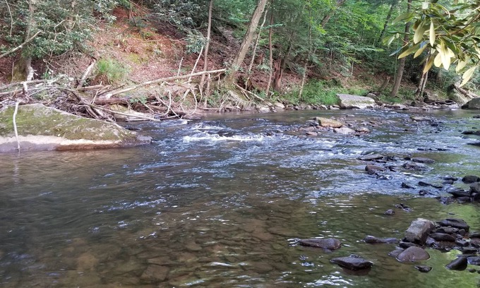 Helvetia RV Rental | Appenzell - Riverside RV Site A4 Mountain Views & Trout Stream