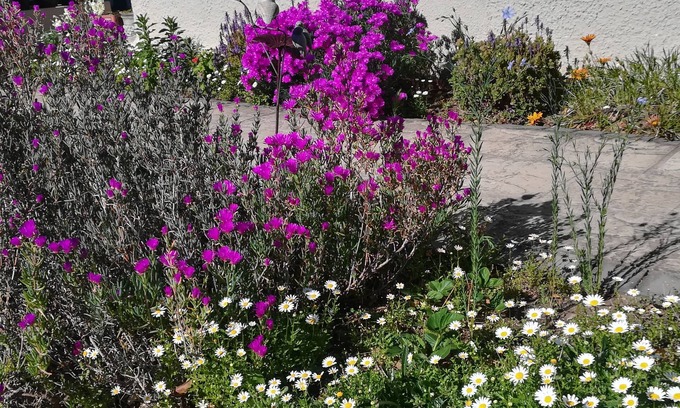 Grahamstown Hotel | AppleBee Guest Cottages