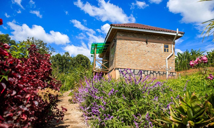 Fort Portal Cottage | Apuuli Safaris & Cottages