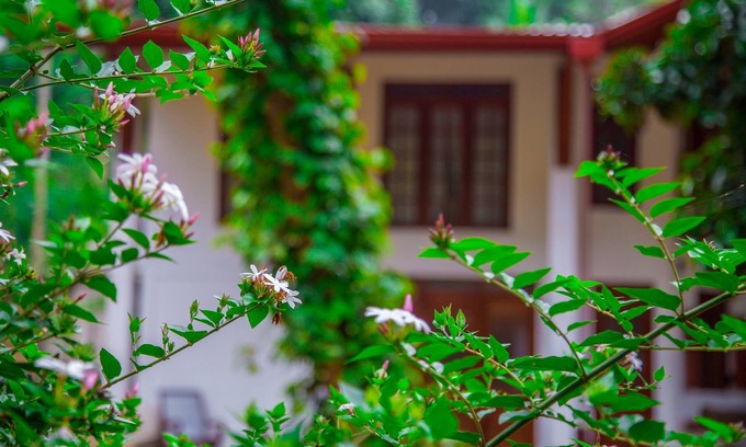 Doluwa House | Aqua Nillambe