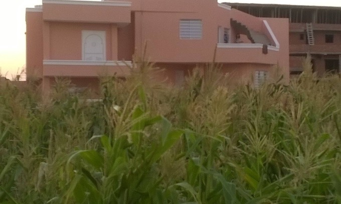 Hammam Al Agzaz House | Arabesque beautiful house full of nature!Arabesque Beautiful house in the countryside